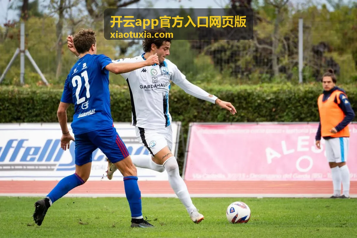 开云app官方入口网页版首页功能布局界面